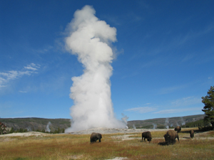 YellowstoneThumb.jpg